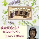 ANESYS法律事務所